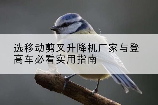 黟县电动升降机厂家-选移动剪叉升降机厂家与登高车必看实用指南