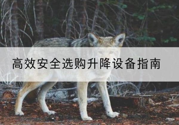 黟县升降货梯厂家推荐-*安全选购升降设备指南